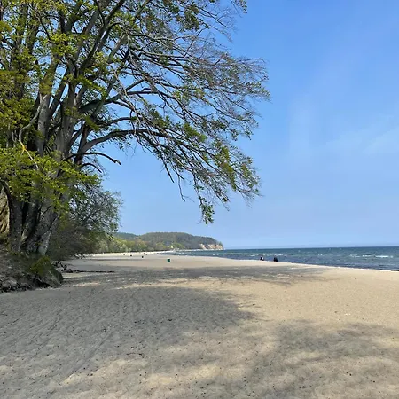 Typu - Przy Plazy Orlowo * グディニャ