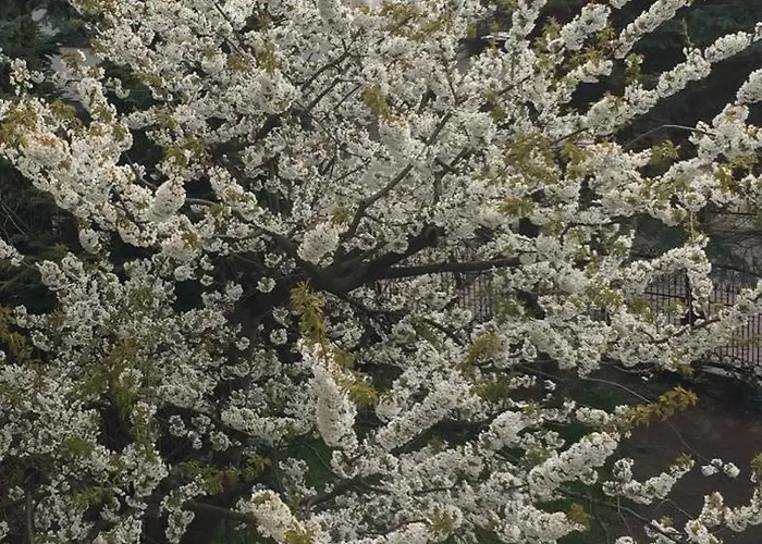 Typu - Przy Plazy Orlowo Apartmán Gdyně