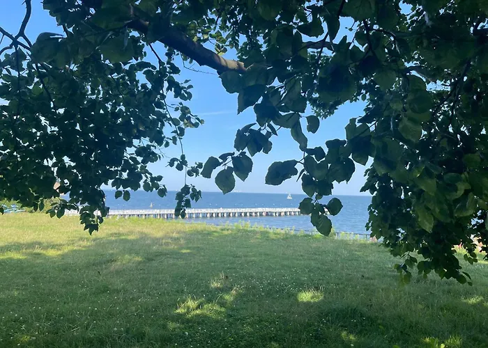 Typu - Przy Plazy Orlowo