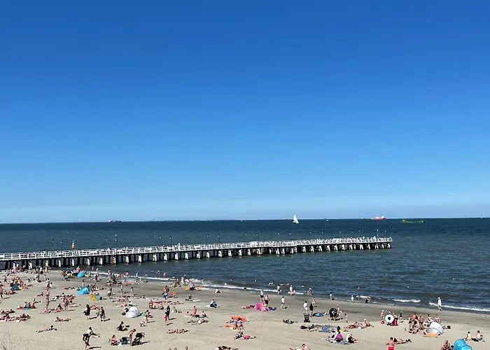 Typu - Przy Plazy Orlowo *