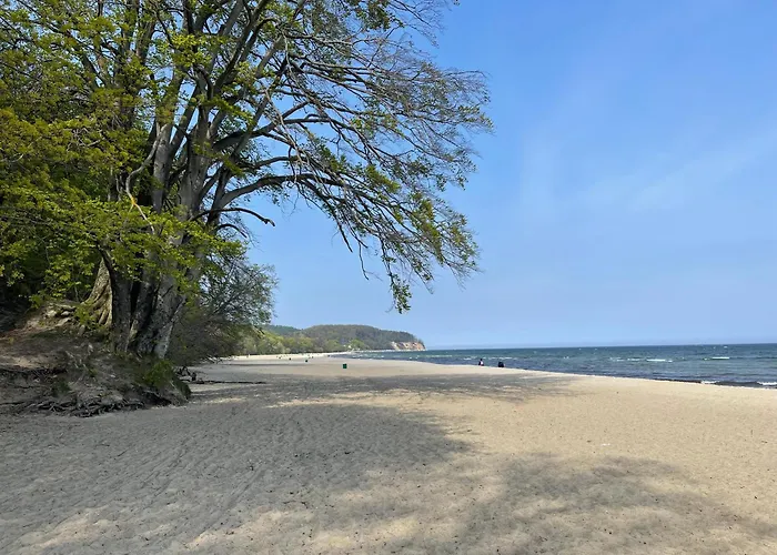 Typu - Przy Plazy Orlowo * Gdynia