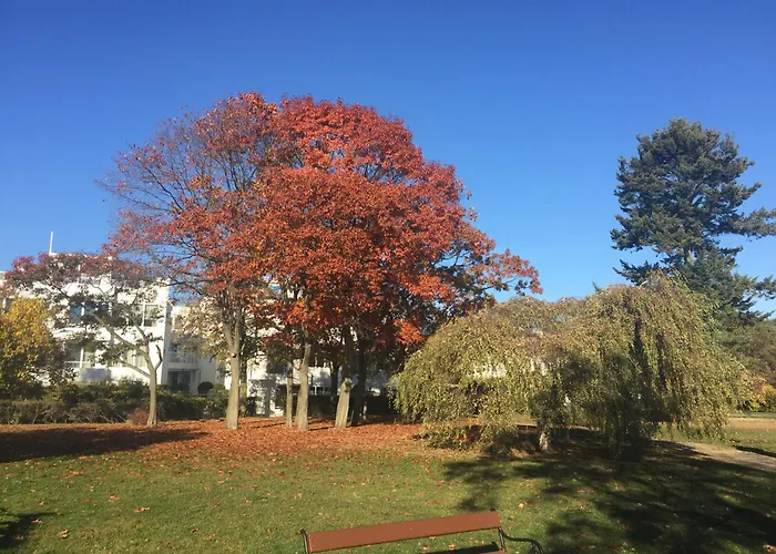 Apartmán Typu - Przy Plazy Orlowo